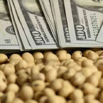 Retenciones: duro cruce del campo a Javier Milei