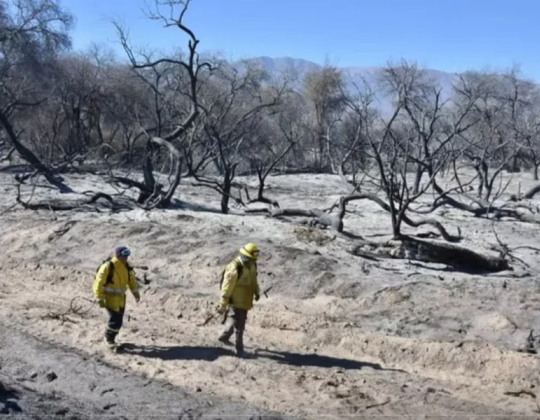 La Justicia prohibió lotear un predio incendiado en Cafayate y reforzó la protección de los bosques nativos