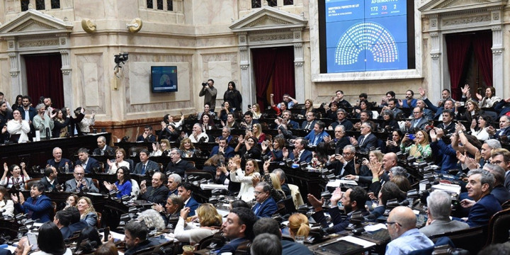 Diputados rechazaron el veto a la emergencia pediátrica y al financiamiento universitario