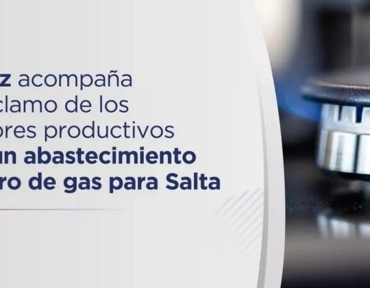 Sáenz acompaña el reclamo de los sectores productivos por un abastecimiento seguro de gas para Salta