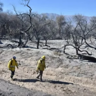 La Justicia prohibió lotear un predio incendiado en Cafayate y reforzó la protección de los bosques nativos