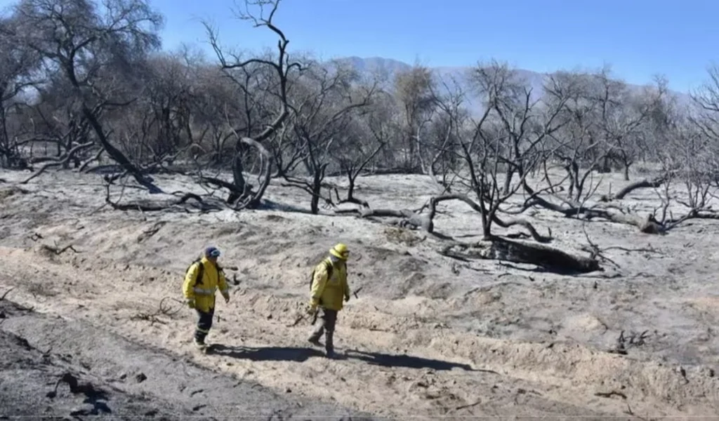 La Justicia prohibió lotear un predio incendiado en Cafayate y reforzó la protección de los bosques nativos